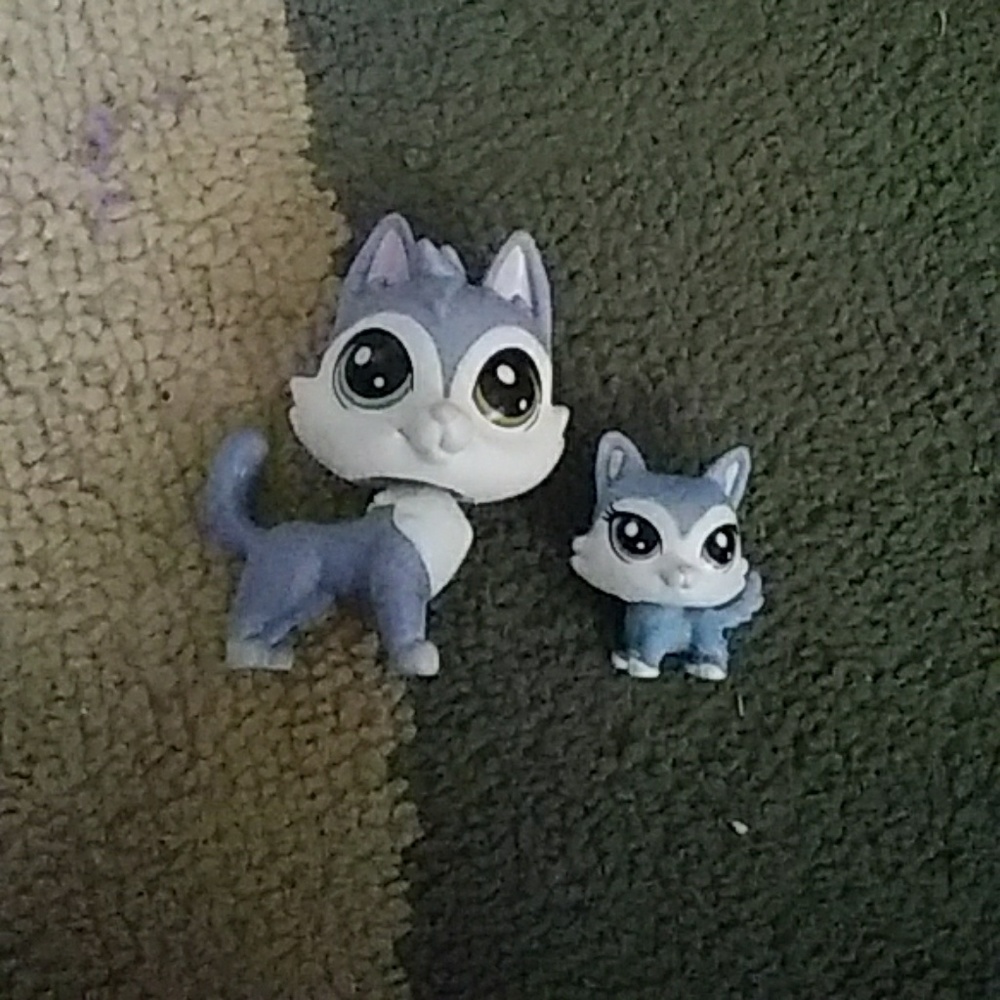 Father daughter lps husky